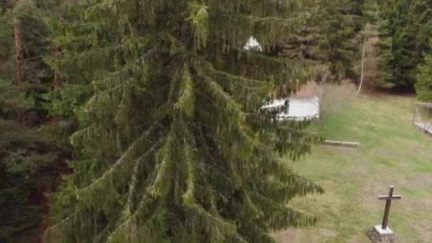 Fotografia Aérea Reveladora Uma Igreja Meio Uma Floresta Pinheiros Roménia — Vídeo de Stock