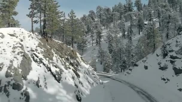 Uitzicht Vanuit Lucht Bergen Bomen Bedekt Met Verse Sneeuw — Stockvideo