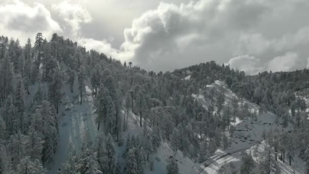 Vistas Aéreas Montañas Árboles Cubiertos Nieve Fresca — Vídeo de stock