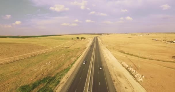 Vliegen Een Asfaltweg Met Passerende Auto Woestijn — Stockvideo