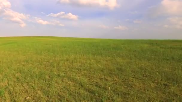 Mit Blauem Himmel Über Grüne Felder Fliegen — Stockvideo