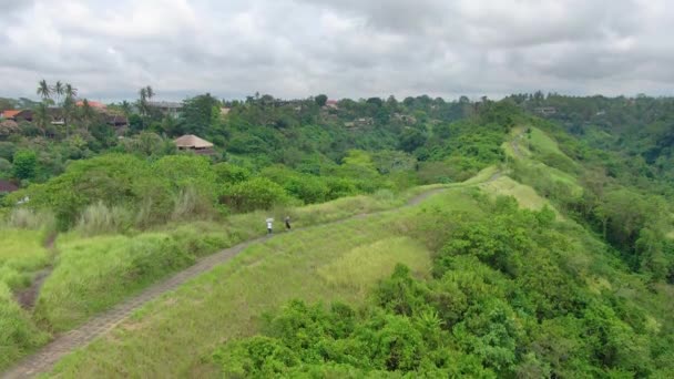 Drone Campuhan Bali — стокове відео