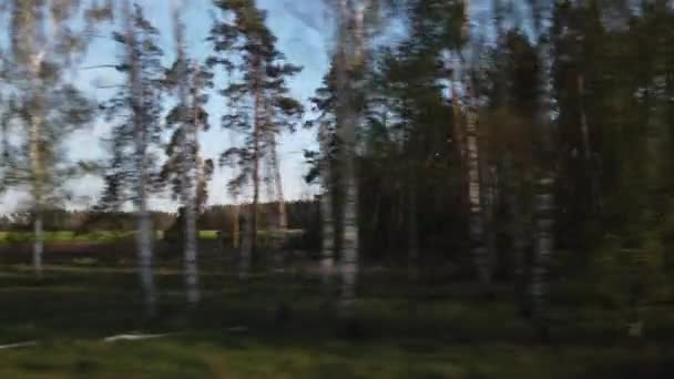 チェコ共和国のウッドランドを通過するドリーショット オンボード列車 — ストック動画