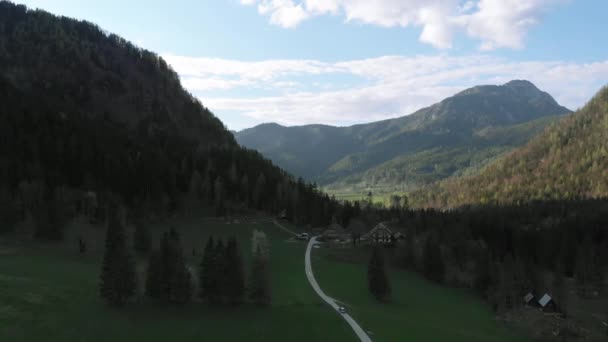 Kilka Domów Środku Lasu Wiosnę Mając Cały Spokój Ciszę Letnia — Wideo stockowe