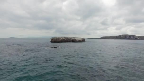 墨西哥纳亚里特Marietas群岛一个大岩层无人驾驶飞机拍摄的空中娃娃 — 图库视频影像