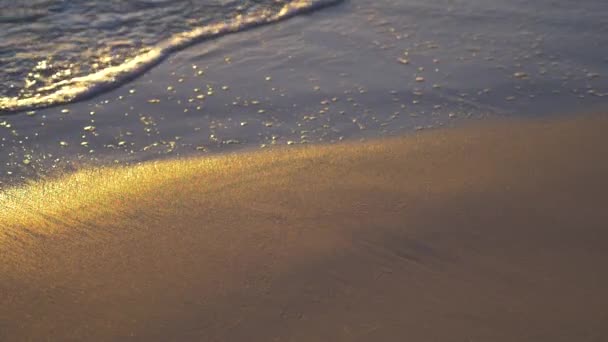 Ранние Утренние Волны Пляже Замедленное Движение — стоковое видео