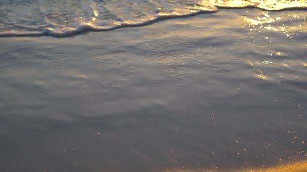 Ранние Утренние Волны Пляже Замедленное Движение — стоковое видео
