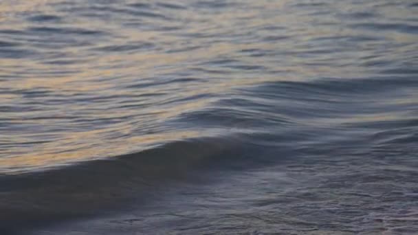 Ondas Manhã Cedo Praia Câmera Lenta — Vídeo de Stock