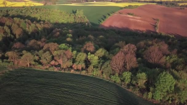 Mouvement Vers Avant Vue Aérienne Des Collines Vallonnées Pologne Panoramique — Video