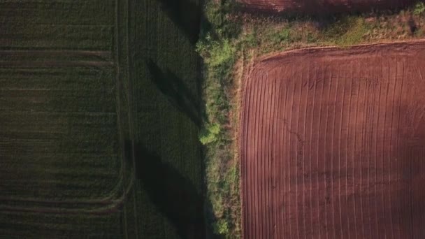 Top Luchtfoto Van Glooiende Heuvels Polen Twee Kleurrijke Akkers Gesplitst — Stockvideo