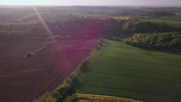 Vue Aérienne Des Collines Pologne Champs Agricoles Colorés Capturés Tôt — Video