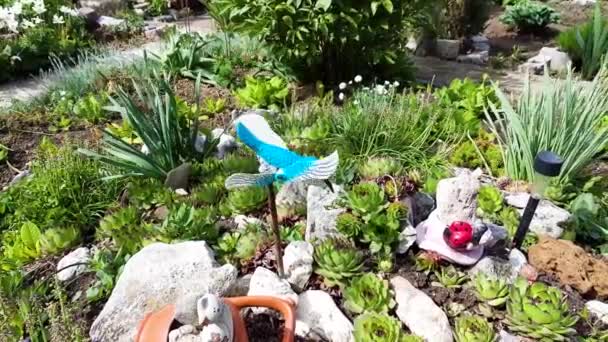 Blauwe Vogel Wind Speelgoed Tuin — Stockvideo