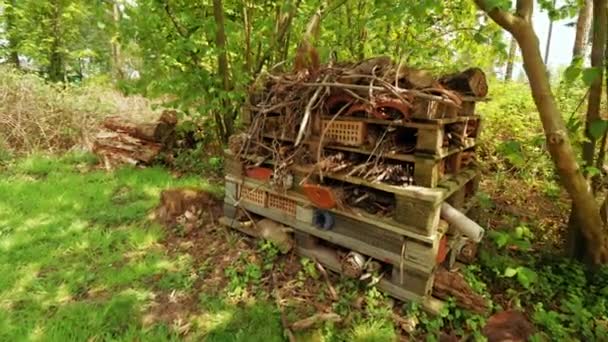 Kameran Rör Sig Mot Ett Vildmarkshotell Skogen Visar Hur Man — Stockvideo