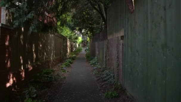 ロンドン ウィンブルドンのデイリーウォークの狭い道を春の散歩野生の花でいっぱいの都市の楽園 — ストック動画