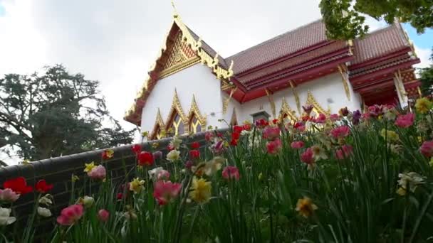 Posuvný Vpravo Nádherným Výhledem Skrytý Thajský Buddhistický Chrám Nad Tulipánem — Stock video