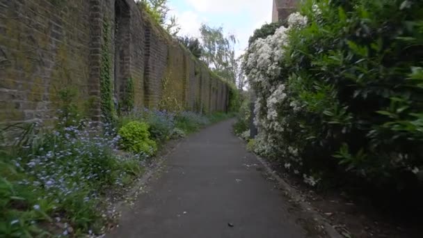 Tavaszi Séta Londoni Wimbledonban Egy Vadvirágokkal Teli Városi Paradicsomban Tejút — Stock videók