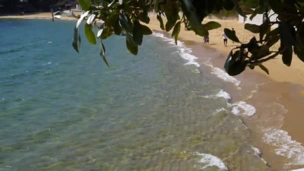 从人行道上俯瞰悉尼海滩 — 图库视频影像