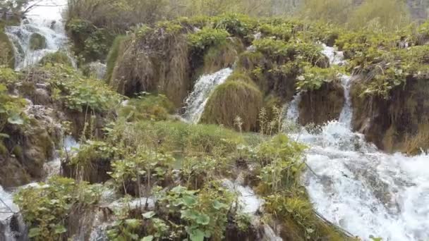 Watervallen Met Mos Bedekte Rotsen Nationaal Park Plitvice Kroatië — Stockvideo