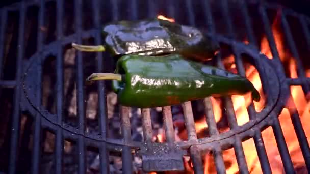 户外烧烤特写镜头上的波比拉诺辣椒 用复制空间显示火焰和烟雾 — 图库视频影像