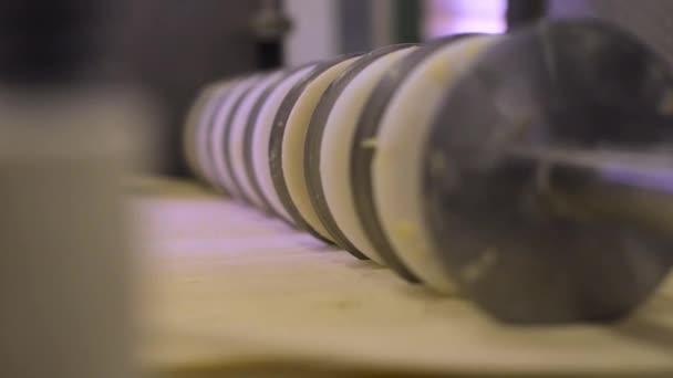 圆圆的工业切割机在面包工厂内切割大量生面片 — 图库视频影像