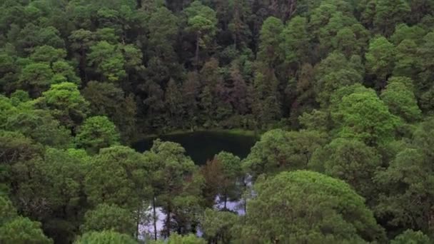 Vue Aérienne Révélatrice Lac Caché Magique Parc National Montebello Chiapas — Video