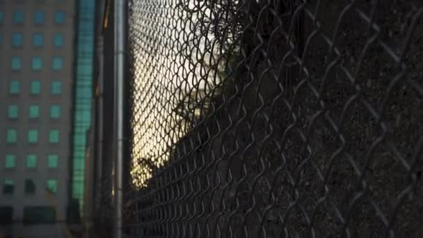 Generic Chainlink Fence Sunset — Stock Video
