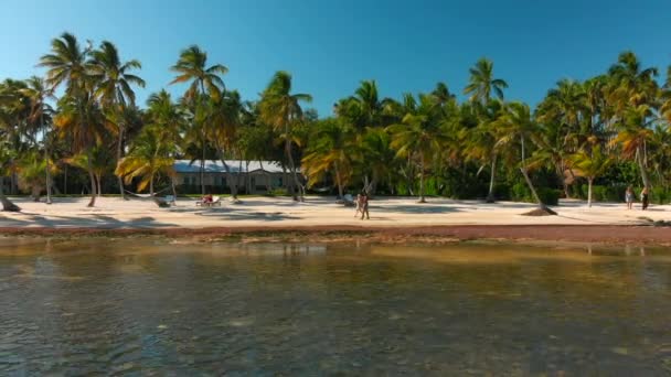 Luchtfoto Van Stranden Palmbomen Oceaan Een Van Belangrijkste Eilanden — Stockvideo