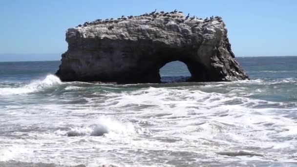 Naturbrückenstrand Santa Cruz Kalifornien — Stockvideo