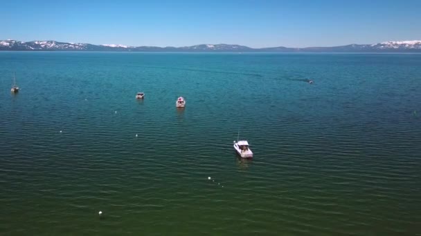 Повітряні Зйомки Кадри Озера Тахо Човни Сонячний День Невада — стокове відео