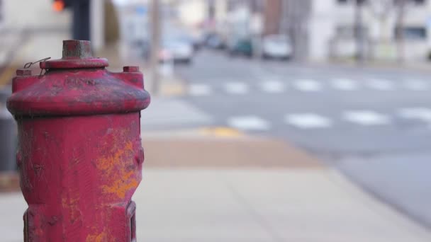 Hydrant Przeciwpożarowy Mieście — Wideo stockowe