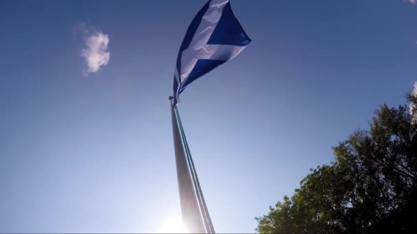 Bandera Escocesa Soplando Brisa — Vídeos de Stock