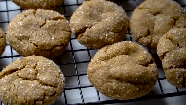 Tempting Homemade Ginger Cookies Cooling Rack Close Movement — Stock Video