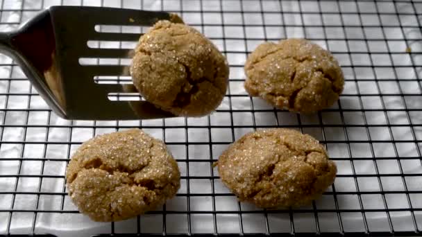 Placing Fresh Baked Molasses Cookies Cooling Rack — Stock Video