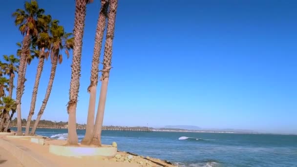 Pan Ventura Sahili Palmiye Ağaçları Yavaş Çekim Ventura Sahili Kaliforniya — Stok video