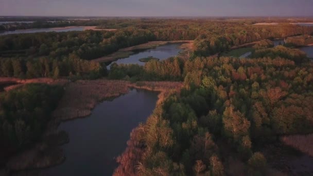 Vista Aérea Parque Paisagístico Polônia Floresta Rica Lagos Espalhados Visíveis — Vídeo de Stock