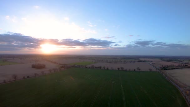 Кадри Заходу Сонця Над Полем Норфолку Повним Овець — стокове відео