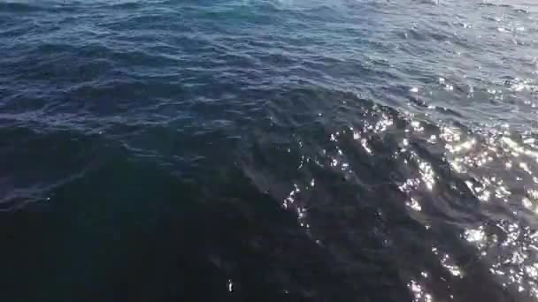 Flygfoto Flyger Lågt Och Snabbt Över Havet — Stockvideo