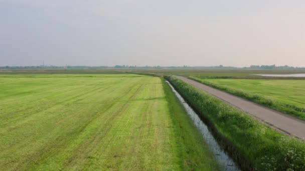Сельское Хозяйство Весной Мидделбурге Нидерланды — стоковое видео