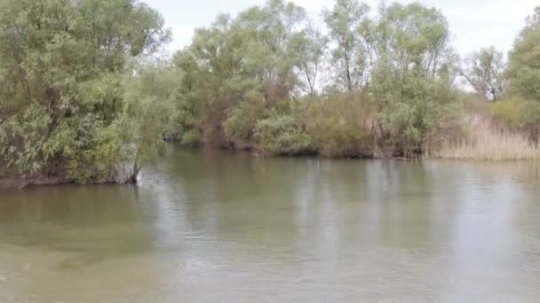 Reserva Natural Delta Del Danubio Crucero Nada Largo Del Río — Vídeos de Stock