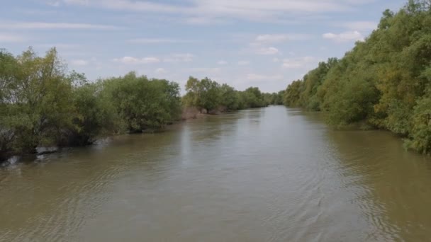 多瑙河的自然保护区三角洲 罗马尼亚 向后移动美丽的海岸 丰富的植被 — 图库视频影像