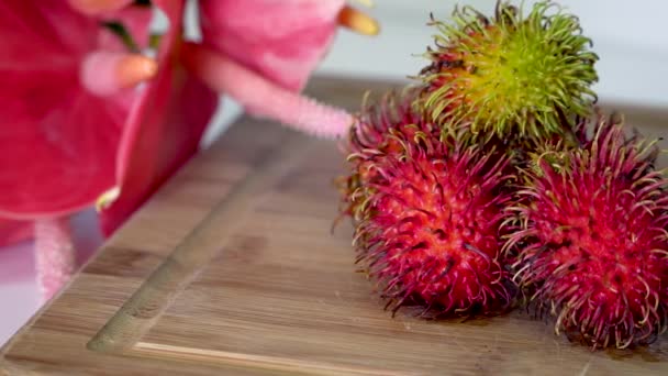 Rambutan Exotisk Sydostasiatisk Frukt Närbild Dolly Skott Isolerad — Stockvideo