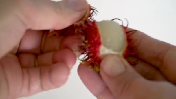 Palce Obrać Niezwykłe Owoce Rambutan Zbliżenie Izolowane Południowo Wschodniej Azji — Wideo stockowe