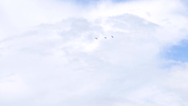 ミャンマーのインレー湖上空を飛ぶ挨拶 スローモーション — ストック動画