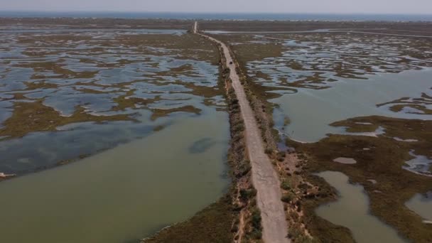 Tiro Subir Sobre Pântano Com Uma Estrada — Vídeo de Stock