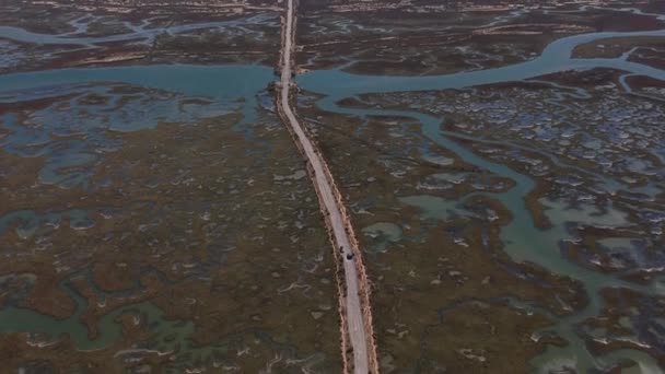 Воздушная Съемка Болот Морем Заднем Плане — стоковое видео