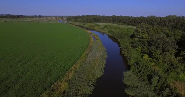 Malá Přírodní Rezervace Blízkosti Kruiningen Nizozemsko Letecké Snímky — Stock video
