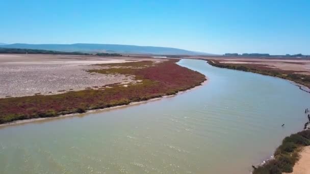 Barbate Nehrinin Cadiz Kıyısındaki Bataklıklardan Geçen Havadan Görüntüsü — Stok video