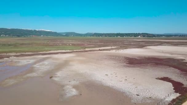 Foto Aerea Paludi Praterie Vicino Alla Costa Cadice Spagna — Video Stock