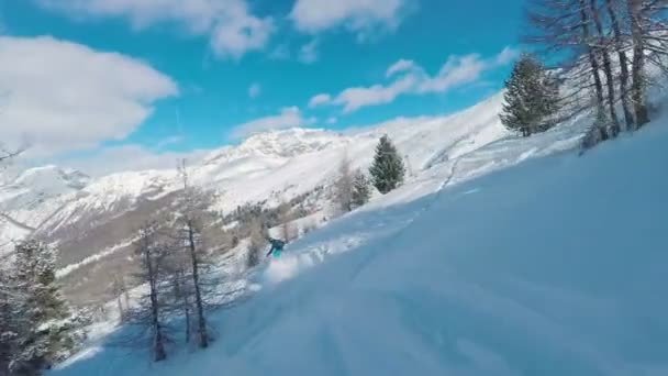 Pov Snowboarding Freshly Snowed Forest Livigno Mountain Italian Alps — стокове відео