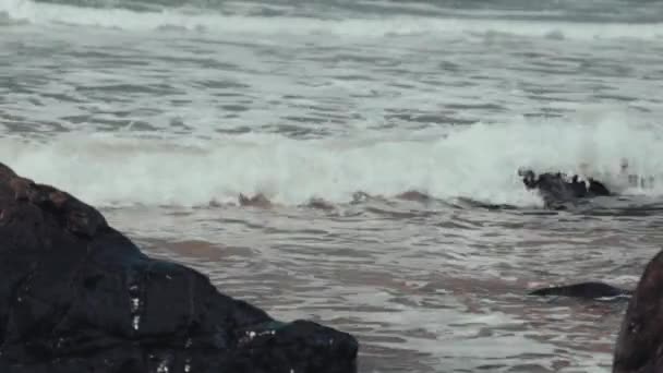 岩とビーチの海潮 — ストック動画